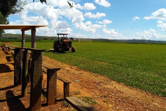 Vistorias campos do Ruralão - 5